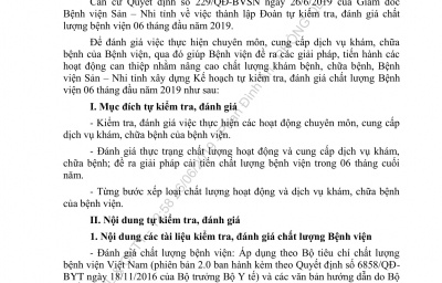 KẾ HOẠCH TỰ KIỂM TRA ĐÁNH GIÁ CHẤT LƯỢNG BỆNH VIỆN 6 THÁNG ĐẦU NĂM 2019